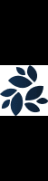 NKN